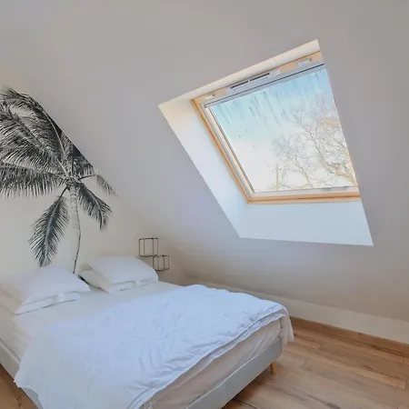 La Brise Tropicale - Belle Maison Avec Jardin Hébergement de vacances